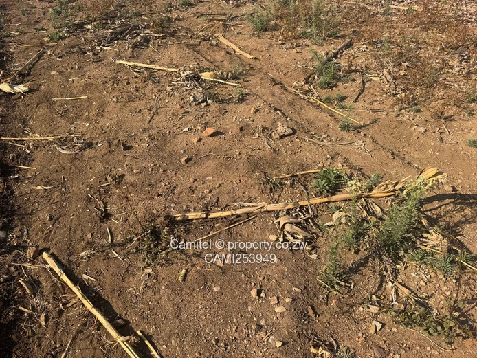 Greendale North 5,300m²-Sewer and Borehole including Tarred Road Frontage Plot