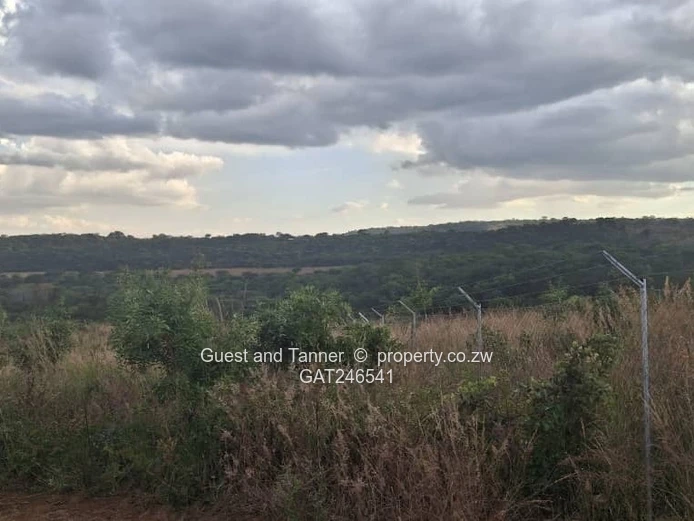 Prime Residential Stand for Sale – Crowhill