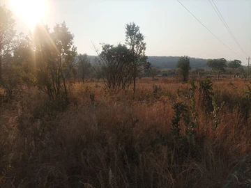 Farm & Agricultural Land