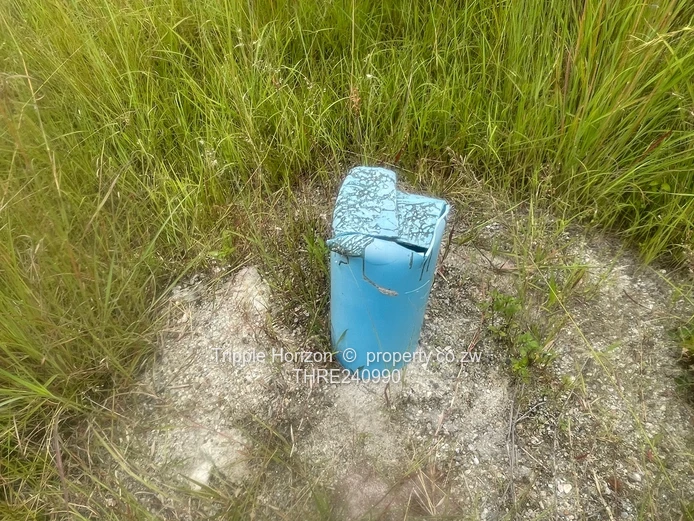 18,000m² Norton Farm — Orchard, Grazing & Main Access