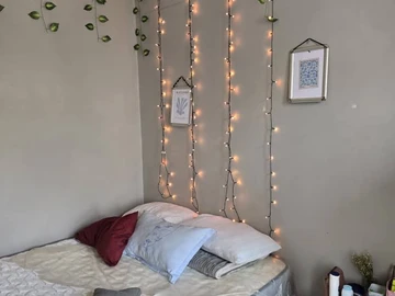 2 Bedroom Flat & Apartment