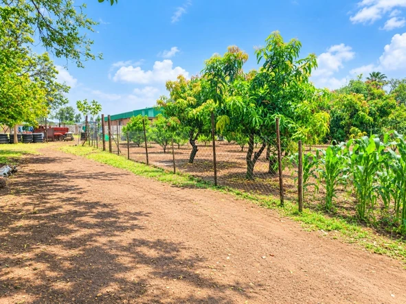Commercial & Industrial Land
