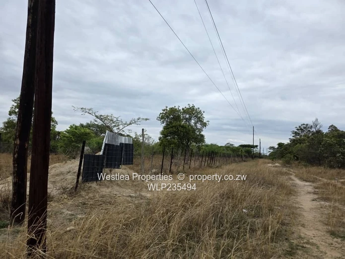 An opportunity not to miss