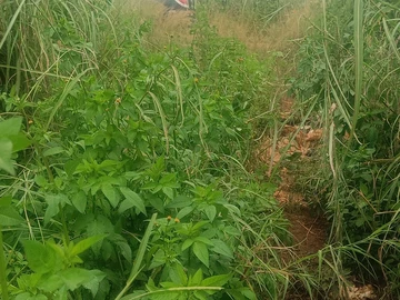 Farm & Agricultural Land