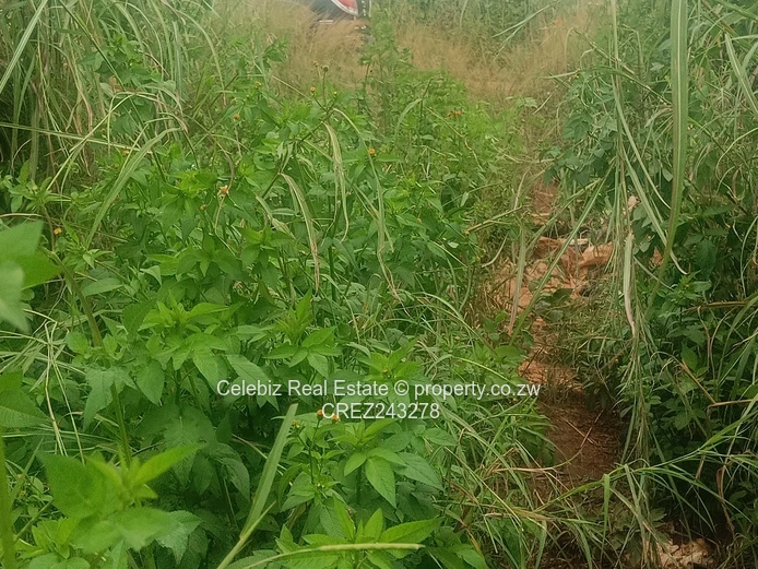 Prime land for sale in Glen Forest 