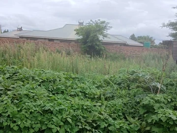 Stands & Residential Land