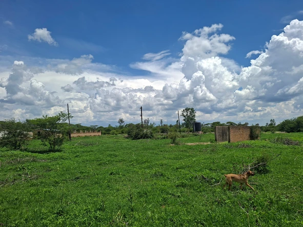 Farm & Agricultural Land