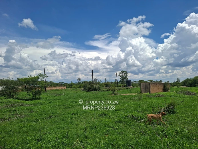 Beatrice Farm for sale