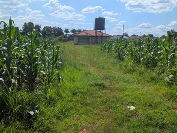 Stands & Residential Land