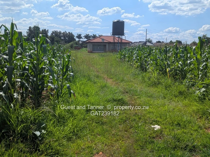 Prime stand with A 3 Bed Cottage for Sale in Knowe, Norton