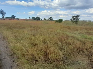 Galloway land for sale 