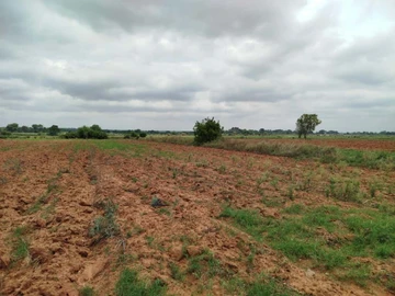 Farm & Agricultural Land