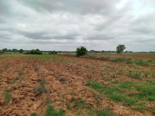 Farm & Agricultural Land