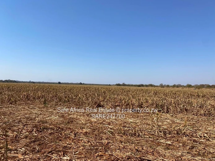 Chegutu Residential/ Commercial Plot For Sale With Bulawayo Road Frontage