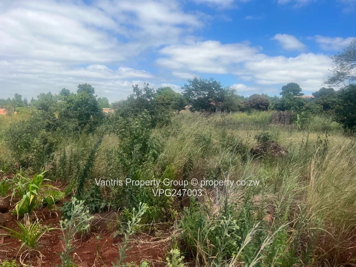 Prime 300sqm - 1710sqm  — Whitecliff Commercial Stands with payment terms 
