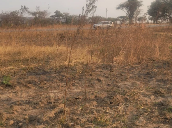 Commercial & Industrial Land