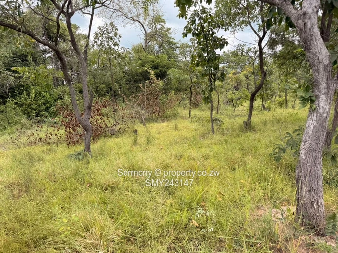 Plots for sale in Chegutu 