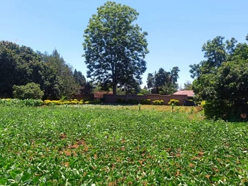 Spacious 3-Bedroom Villa in Greystone Park, Harare