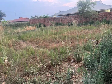 Stands & Residential Land