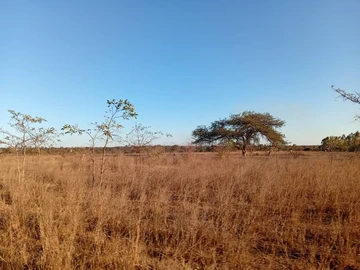 Farm & Agricultural Land