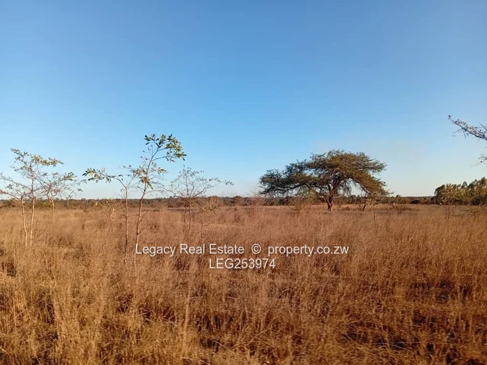 50.6ha Zvimba Farm — Fenced Grazing, Arable Land & Dam (Sole Mandate)