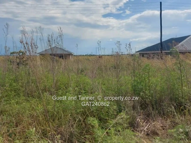 A Choice of 2 Nyabira Rosewood Stands for Sale