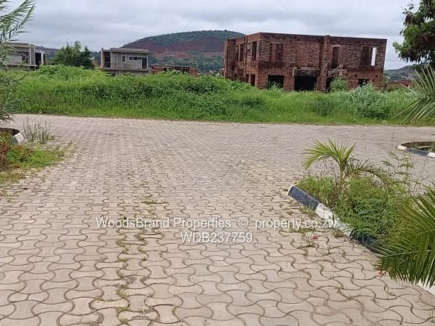 Cold Comfort Duplex Stands- Pleasant Valley drive