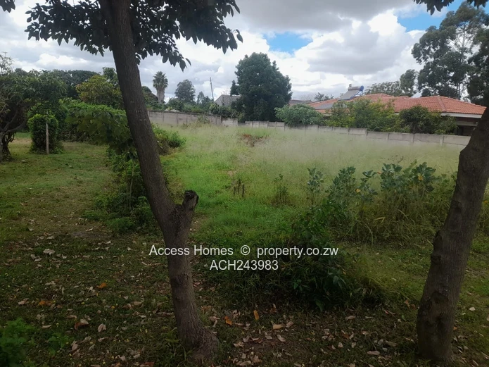 Hatfield Stand for Sale