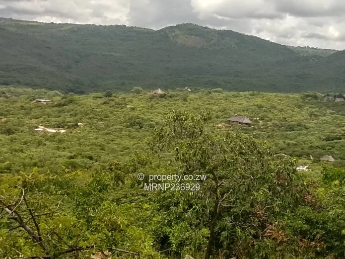 Nyanga Agro-Residential Plots for sale
