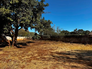 Stands & Residential Land