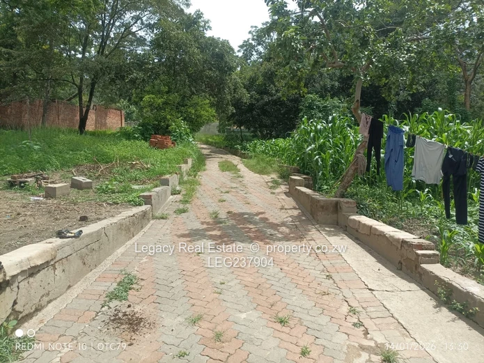 Glen Lorne Estate Property with Deeds ,Golden Oldie on Expansive Land,Ideal for Redevelopment