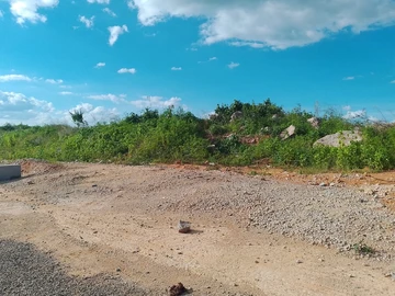 Commercial & Industrial Land