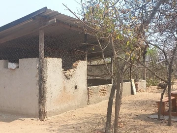 Farm & Agricultural Land