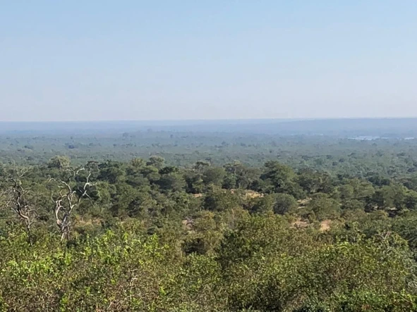 Land
