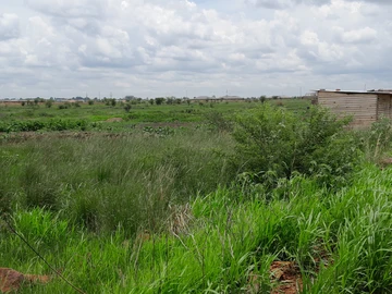 Stands & Residential Land