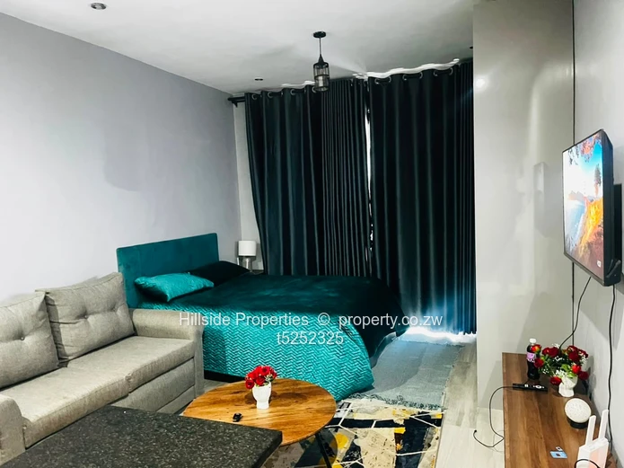 Millennium Heights Studio Apartment  (Sole Mandate)