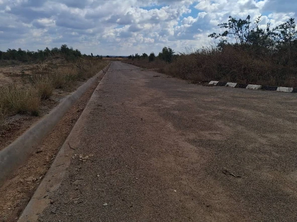 Stands & Residential Land