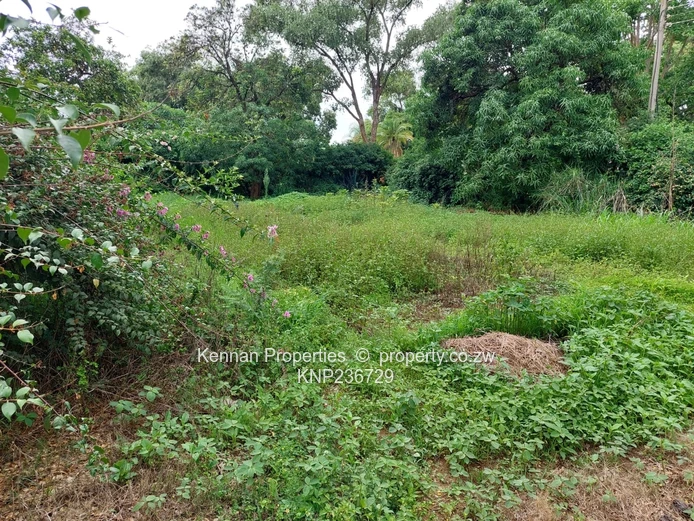 5 bedroomed Fixer Upper in Kadoma