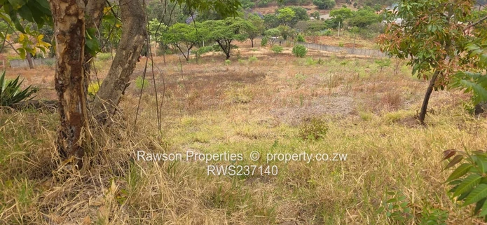 Superb opportunity in Philadelphia 