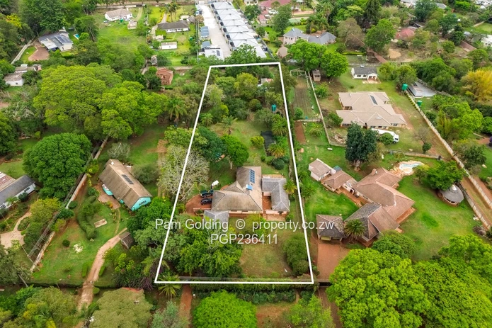 Golden Oldie Great Potential  (Sole Mandate)