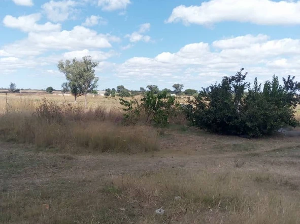 Farm & Agricultural Land