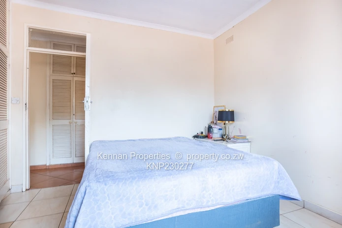 Renovator's Dream - Nostro!