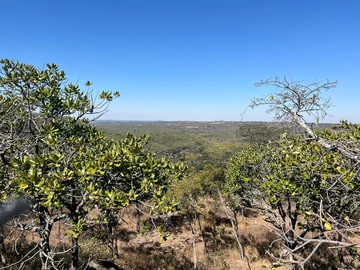 Farm & Agricultural Land