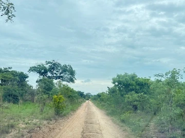 Farm & Agricultural Land