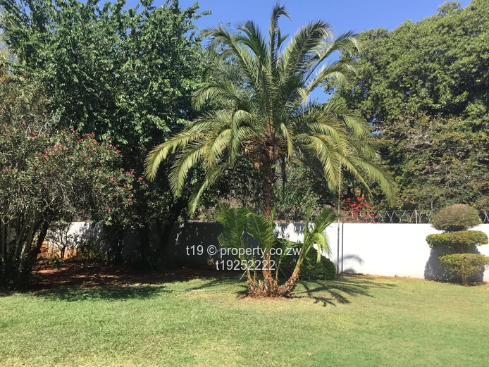 Neat fully furnished 4 bedroom house plus 3 bed cottage 
