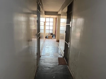 Flat & Apartment