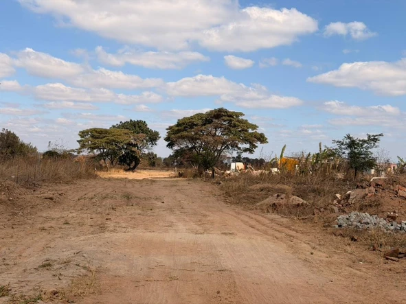 Stands & Residential Land