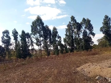 Farm & Agricultural Land