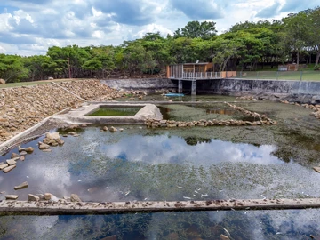 Farm & Agricultural Land