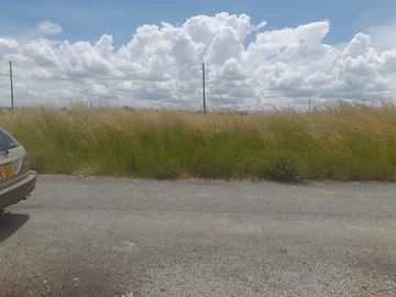 Stands & Residential Land